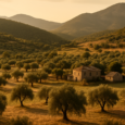 Το αγροτικό τοπίο του Λαμπόκαμπου στον Ζάρακα Λακωνίας