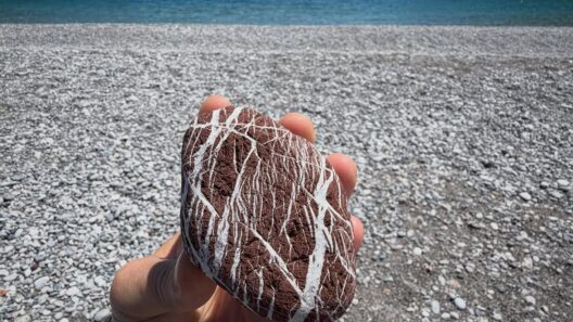 A hand holding a naturally patterned red and white stone on a beach beside the blue sea